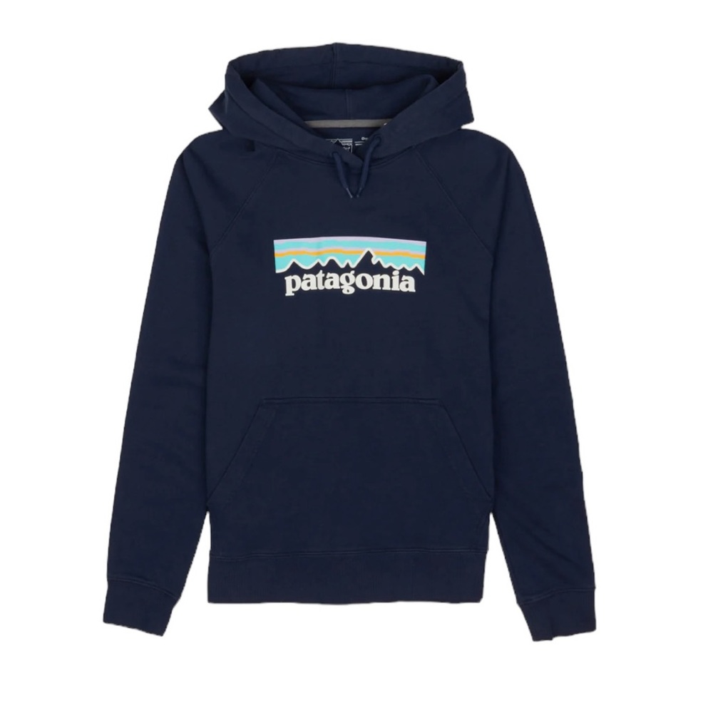 Patagonia Navy Hoodie with Multi-Color Logo